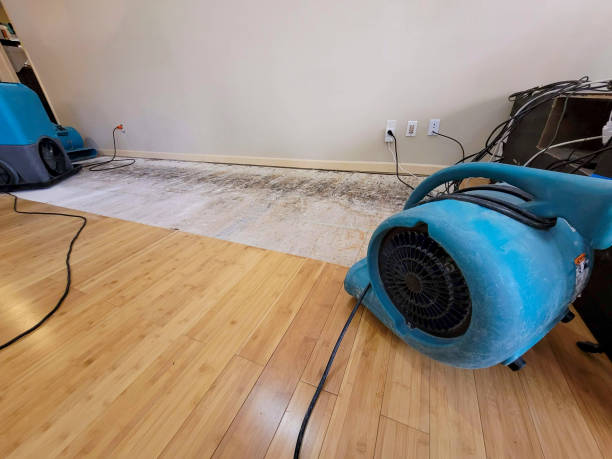 Professional Flood Damage Cleanup technician working in Lemont, IL